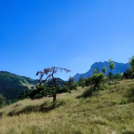 Les Cimes - La Canopée * Gresse-en-Vercors